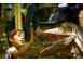 Cabana cazare turism brasov 509808 poza 2
